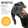 Maxxipaws Maxxidigest+ (Digestive & Immune Support) Supplements for Dogs