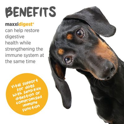 Maxxipaws Maxxidigest+ (Digestive & Immune Support) Supplements for Dogs