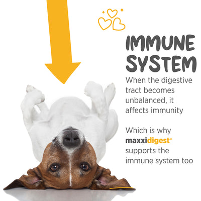 Maxxipaws Maxxidigest+ (Digestive & Immune Support) Supplements for Dogs