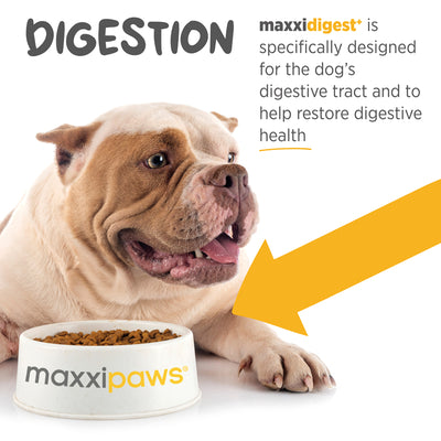 Maxxipaws Maxxidigest+ (Digestive & Immune Support) Supplements for Dogs