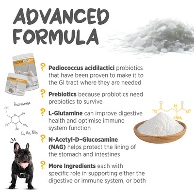 Maxxipaws Maxxidigest+ (Digestive & Immune Support) Supplements for Dogs