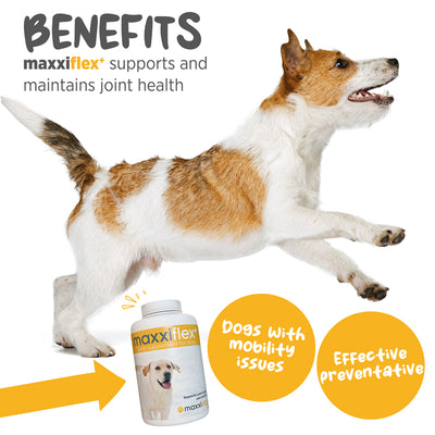 Maxxipaws Maxxiflex+ (Joint) Supplements for Dogs