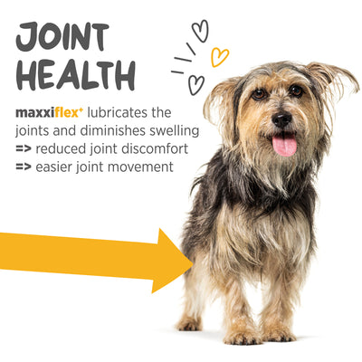 Maxxipaws Maxxiflex+ (Joint) Supplements for Dogs