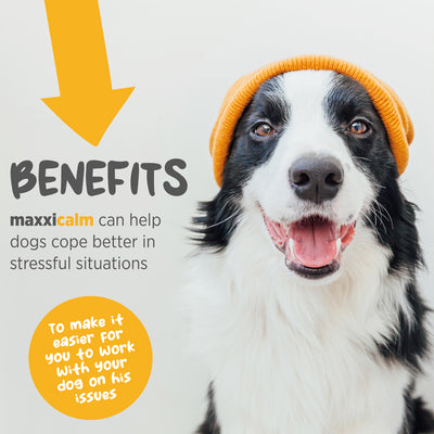 Maxxipaws Maxxicalm (Calming Aid) Supplements for Dogs