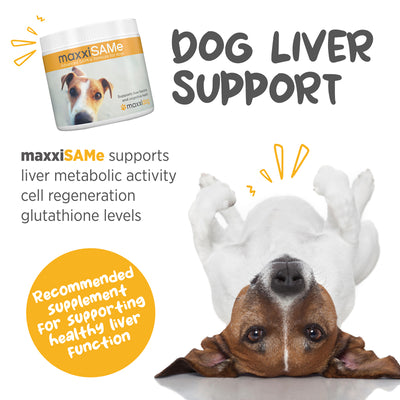 Maxxipaws MaxxiSAMe (Liver, Joint & Cognitive Health) Supplements for Dogs