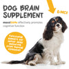 Maxxipaws MaxxiSAMe (Liver, Joint & Cognitive Health) Supplements for Dogs