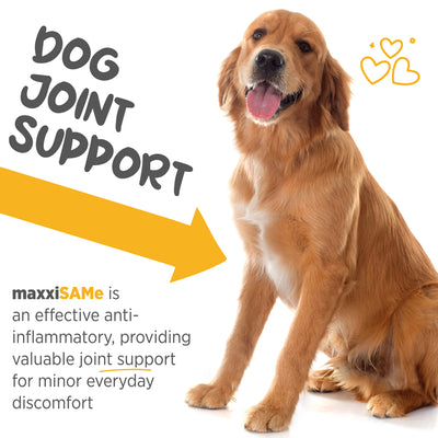 Maxxipaws MaxxiSAMe (Liver, Joint & Cognitive Health) Supplements for Dogs