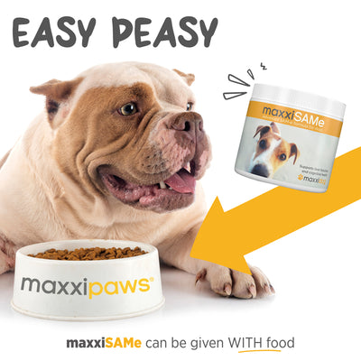 Maxxipaws MaxxiSAMe (Liver, Joint & Cognitive Health) Supplements for Dogs