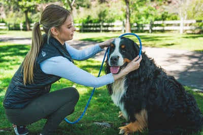 Ruffwear Just-a-Cinch™ Reflective Rope Slip Dog Leash (Obsidian Black)