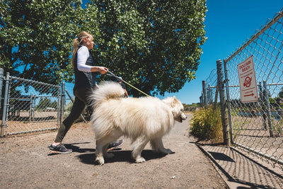 Ruffwear Knot-a-Long™ Short Rope Dog Leash with Locking Carabiner