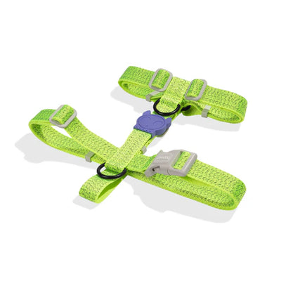 Zee.Dog Nox Dog H-Harness (Lumen)