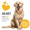 Maxxipaws MaxxiCardio (Heart & Vascular Support) Supplements for Dogs