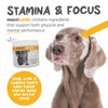 Maxxipaws MaxxiCardio (Heart & Vascular Support) Supplements for Dogs