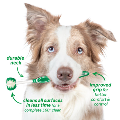 TropiClean Fresh Breath Oral Care Kit (Toothbrush, Finger Brush & Gel) for Dogs