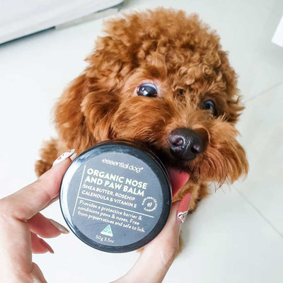 Essential Dog Natural Nose and Paw Balm for Dogs