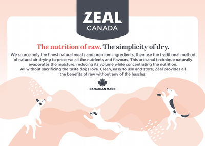 Zeal Canada Gently Air-Dried Dry Dog Food (Salmon Recipe)