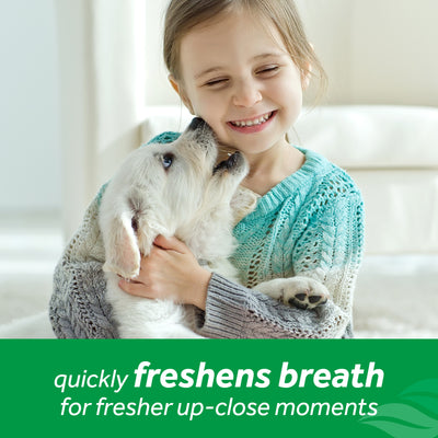 Tropiclean Fresh Breath No Brushing Oral Care Spray for Dogs (Vanilla Mint)