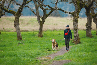 Ruffwear Knot-a-Leash™ Reflective Rope Dog Leash with Locking Carabiner