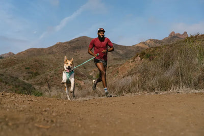 Ruffwear Hi & Light™ Lightweight Leash (Alpenglow Pink)