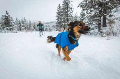 Ruffwear Top Rope™ Reflective Ballasted Dog Collar