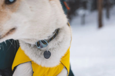 Ruffwear Knot-a-Collar™ Reflective Rope Dog Collar