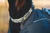 Ruffwear Front Range™ Everyday Dog Collar