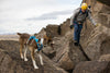 Ruffwear Flagline™ Lightweight & Multi-Use Dog Harness with Padded Handle