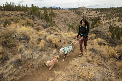 Ruffwear Flagline™ Lightweight & Multi-Use Dog Harness with Padded Handle