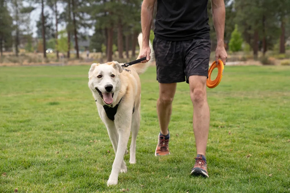 Ruffwear Front Range™ Short Leash
