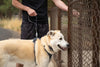 Ruffwear Front Range™ Short Leash