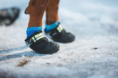 Ruffwear Bark'n Boot™ Quick Dry Dog Socks