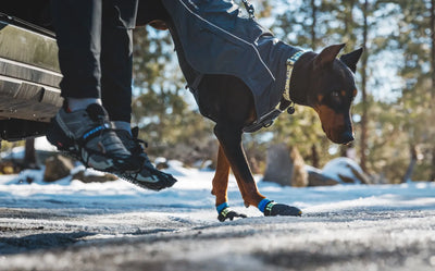 Ruffwear Front Range™ Everyday Dog Collar