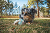 Ruffwear Morel™ Chew Resistant Treat Dispensing Dog Toy