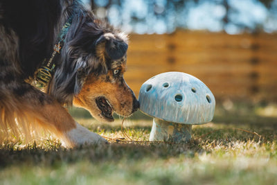 Ruffwear Porcini™ Chew Resistant Slow Feeder Dog Toy