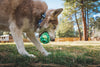 Ruffwear Morel™ Chew Resistant Treat Dispensing Dog Toy