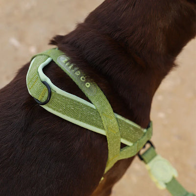 Zee.Dog Soft-Walk No-Pull Dog Harness (Moss)