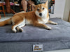 10% OFF: Big Borky Orthopedic Dog Bed (Choco Brown) - Good Dog People™