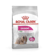 10% OFF: Royal Canin Mini Exigent Fussy Appetite Dry Dog Food - Good Dog People™