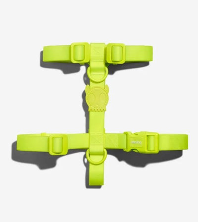 10% OFF: Zee.Dog NeoPro™ Lime Dog H-Harness - Good Dog People™