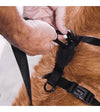 10% OFF: Zee.Dog NeoPro™ Tangerine Dog H-Harness - Good Dog People™