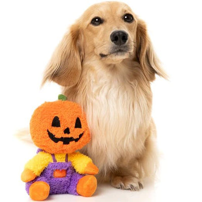 15% OFF: FuzzYard Halloween Jack-O Chan Plush Dog Toy - Good Dog People™