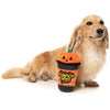 15% OFF: FuzzYard Halloween Peek-A-Boo Pumpkin Spice Latte Plush Dog Toy - Good Dog People™