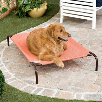 20% OFF: Coolaroo Elevated Knitted Fabric Cat & Dog Bed (Terracotta) - Good Dog People™