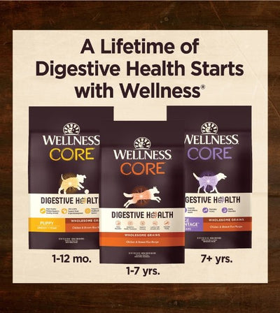 20% OFF + FREE WIPES: Wellness CORE Digestive Health Puppy Chicken & Brown Rice Dry Dog Food - Good Dog People™