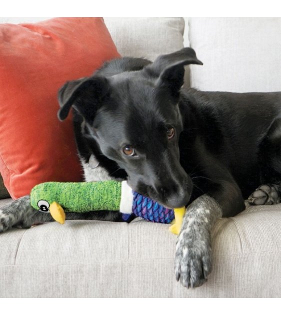 20% OFF: KONG Shakers Cuckoos Plush Dog Toy (Assorted Colors) - Good Dog People™