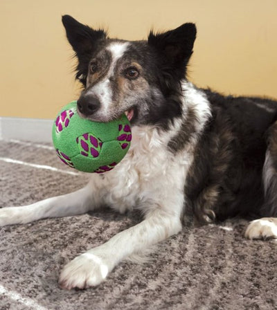 20% OFF: KONG Sneakerz Sport Soccer Ball Dog Toy - Good Dog People™