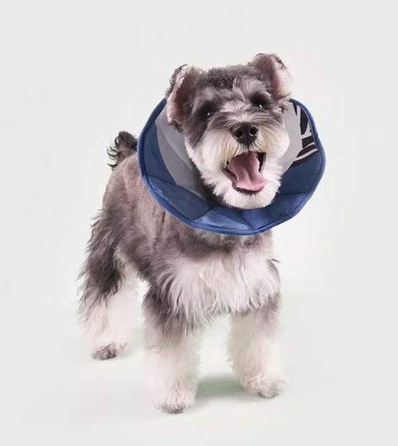 SALA First Aid Comfy Recovery Soft E Collar For Dogs Cats