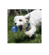 Kong Squeezz Geodz Assorted Dog Toy (2 Pcs)