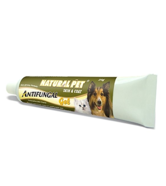 can i use antifungal cream on my dog
