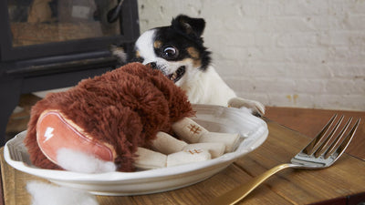 $18 ONLY: BarkShop Wreck of Lamb Dog Plush Toy
